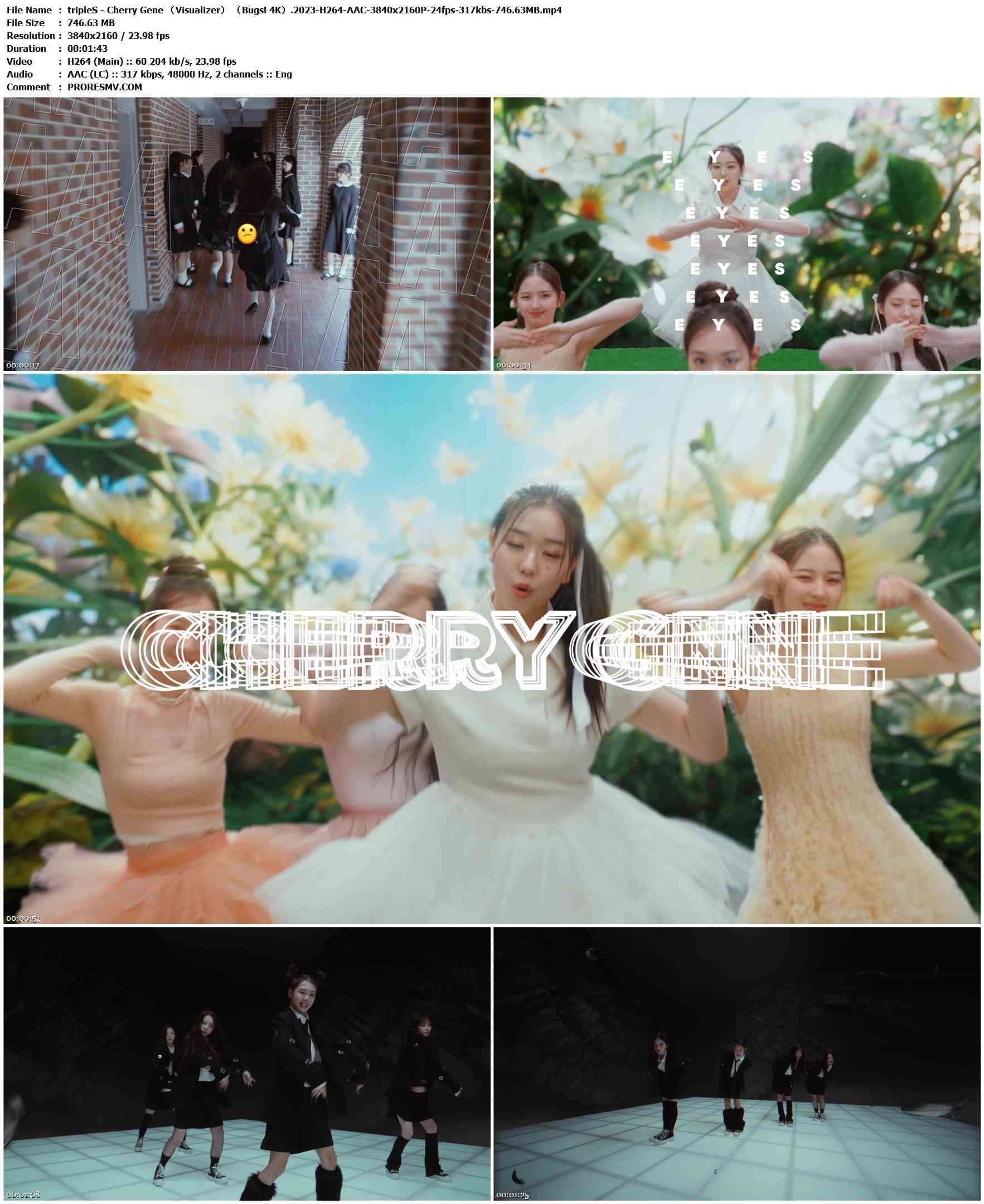 tripleS - Cherry Gene （Visualizer） （Bugs! 4K）.2023-H264-AAC-3840x2160P-24fps-317kbs-746.63MB官方MV_高清MV